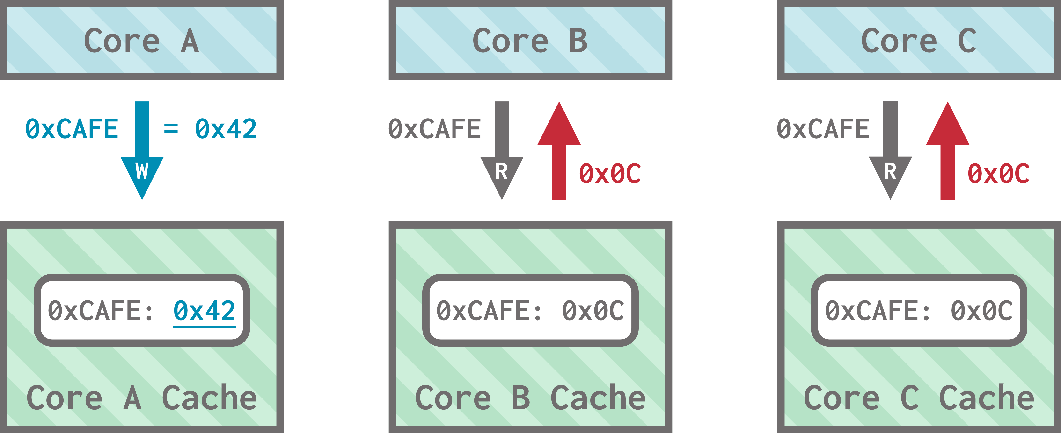 Three cores: core A, core B, and core C, each have their own cache. All three caches store the data at address 0xCAFE as 0x0C. Core A makes a write request to write 0x42 at address 0xCAFE, and its cache updates to reflect this write. However, the other caches do not, and still store 0x0C. When cores B and C make read requests for 0xCAFE, they get 0x0C.