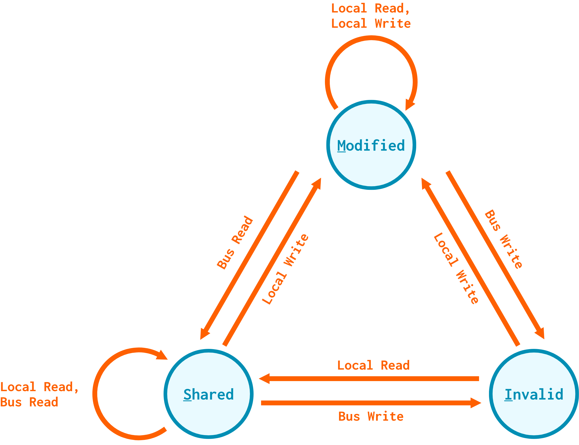 State diagram with three states: Modified, Shared, and Invalid. The transitions in the diagram are as follows: Shared to shared on a local read or a bus read. Modified to modified o a local read or local write. Modified to shared on a bus read. Shared to modified on a local write. Modified to invalid on a bus write. Invalid to modified on a local write. Shared to invalid on a bus write. Invalid to shared on a local read.